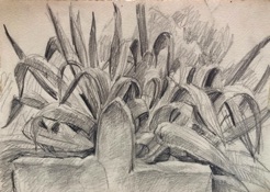 Arab cemetery
pencil Arab cemetery
pencil